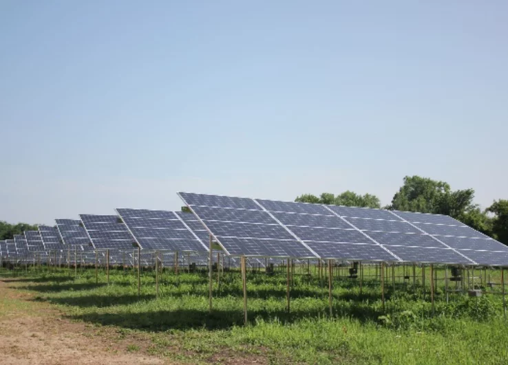 Frederick School solar array